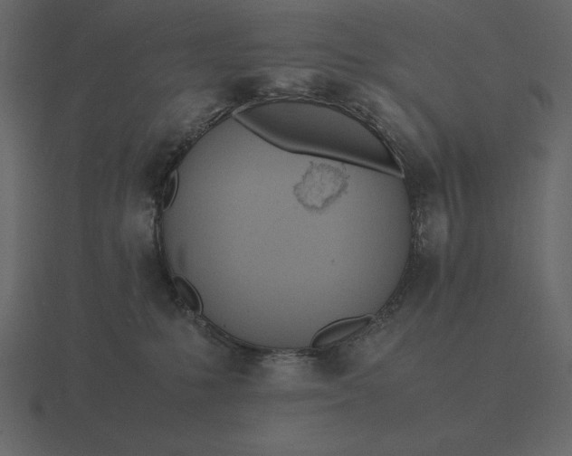 X0000116620231200912241759