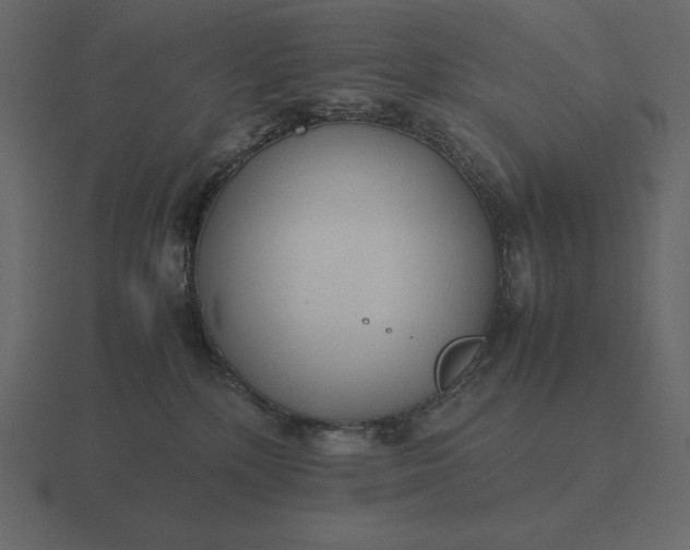 X0000116620232200912241759