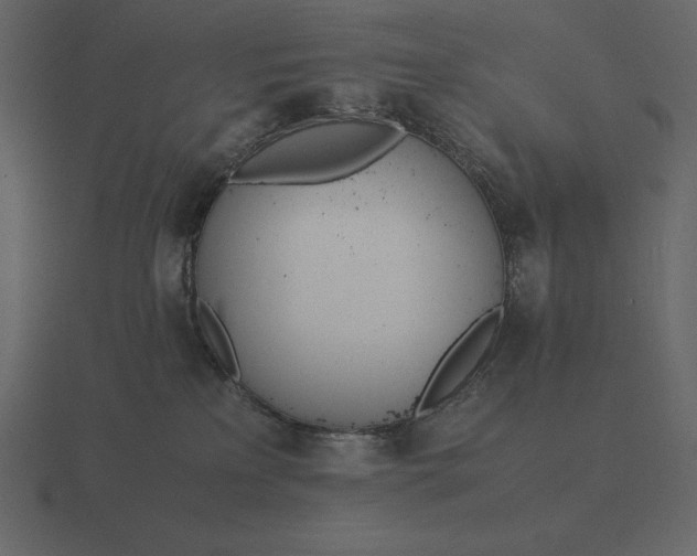 X0000116620233200912241759