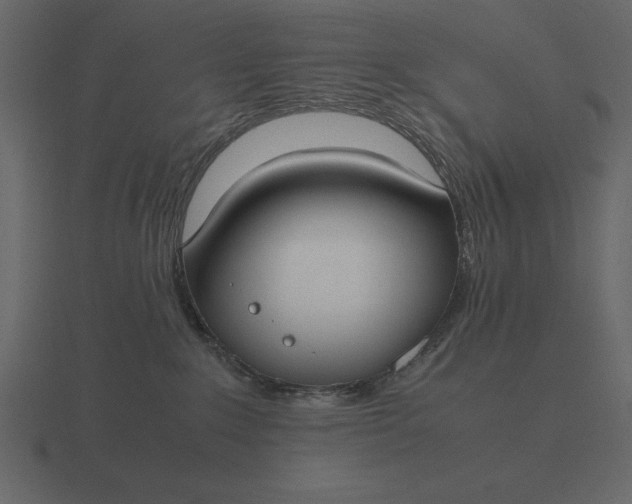 X0000116620235200912241759