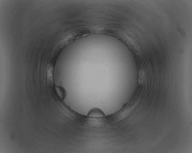 X0000116620238200912241759