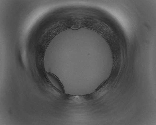 X0000116620239200912241759