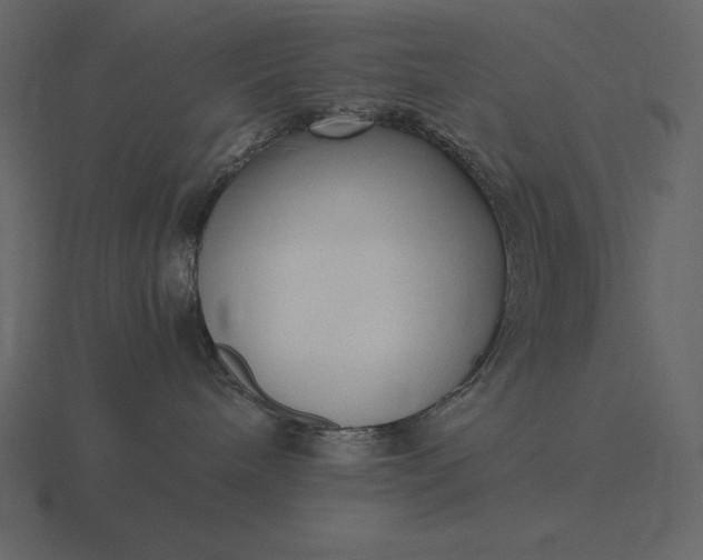 X0000116620240200912241759