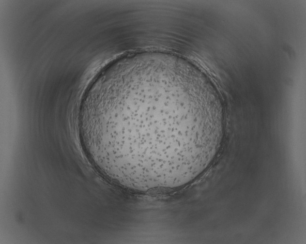 X0000116620241200912241758