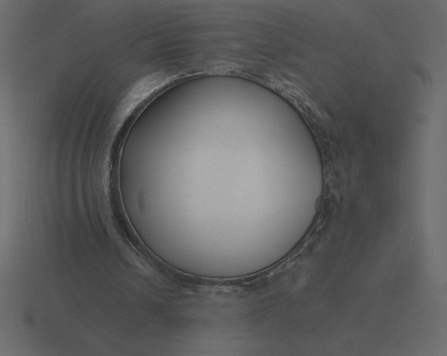 X0000116620242200912241758