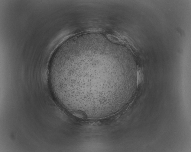 X0000116620243200912241758