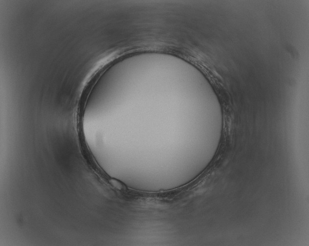 X0000116620244200912241758