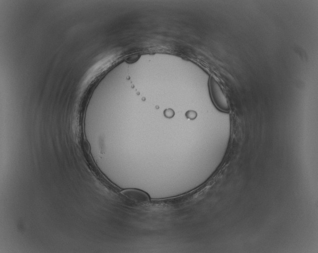 X0000116620245200912241758