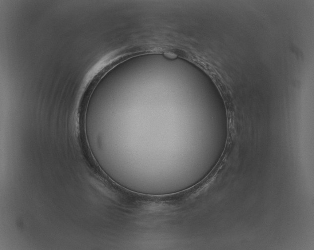 X0000116620246200912241758