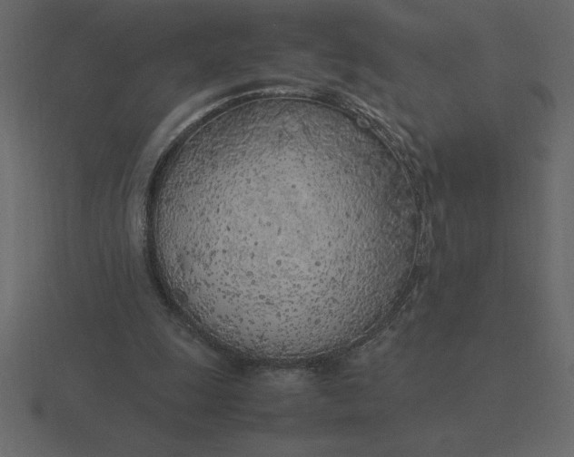 X0000116620247200912241758