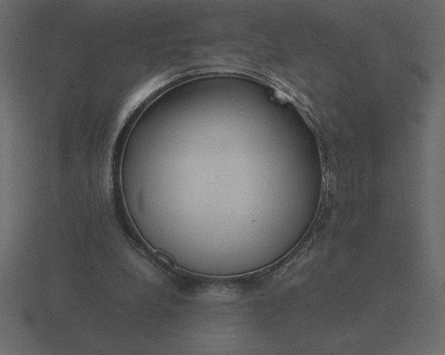 X0000116620248200912241758