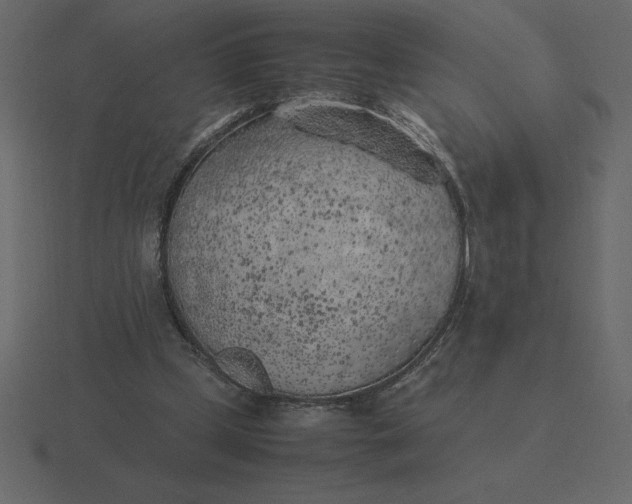 X0000116620249200912241758