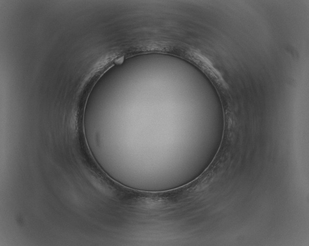 X0000116620250200912241758