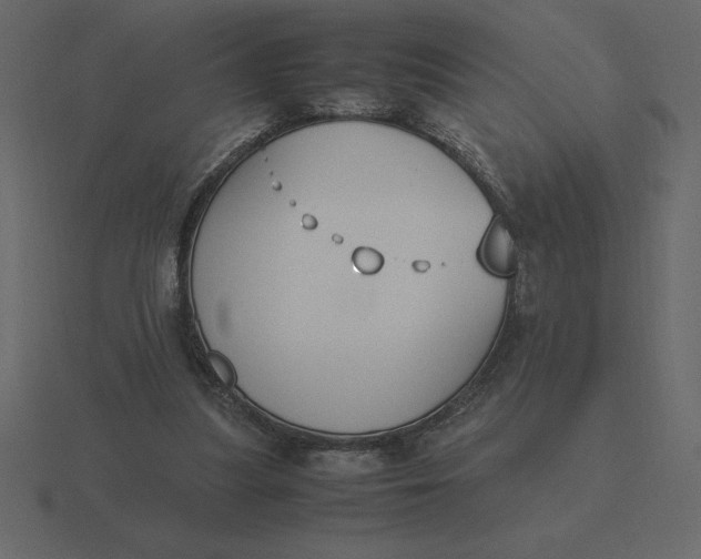 X0000116620251200912241758