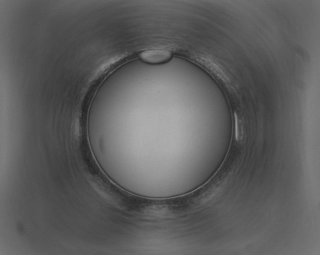 X0000116620252200912241758