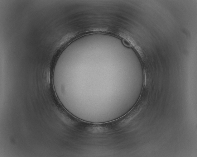 X0000116620253200912241758