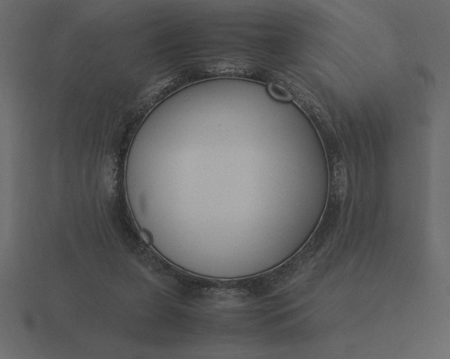 X0000116620255200912241758