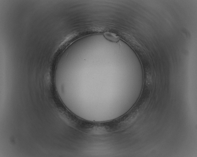 X0000116620256200912241758