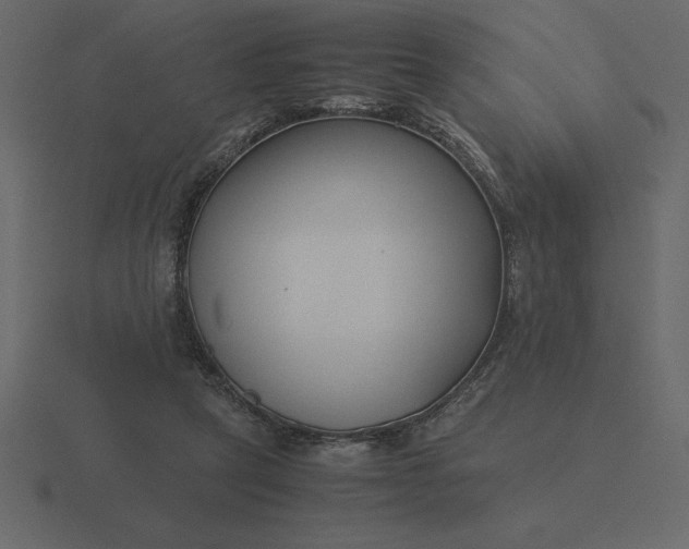 X0000116620257200912241758