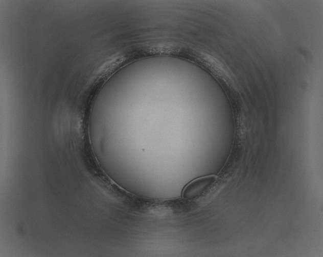 X0000116620258200912241758