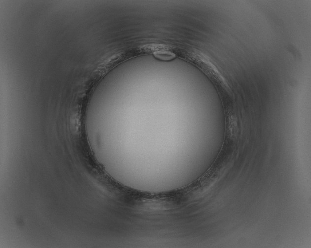 X0000116620259200912241758