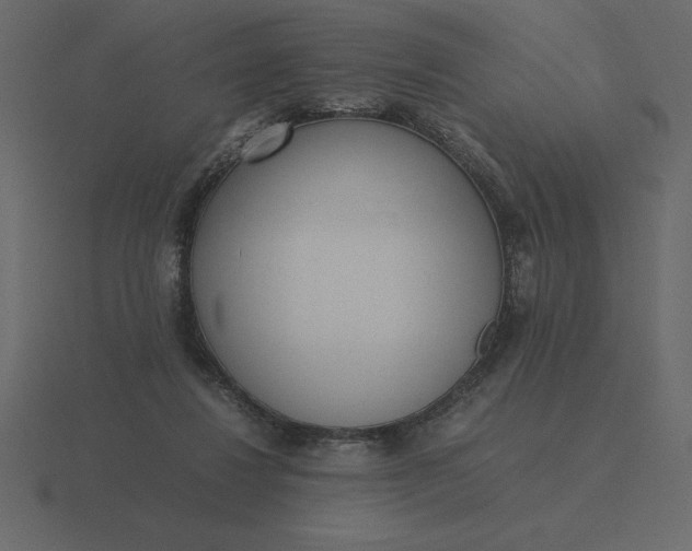 X0000116620260200912241758