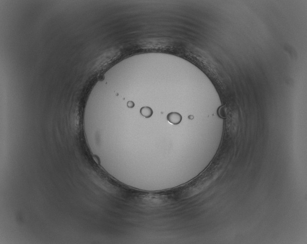 X0000116620261200912241758