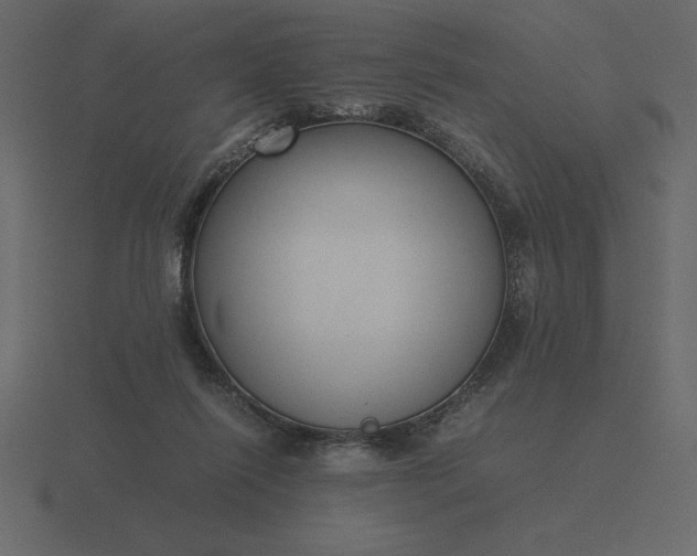 X0000116620262200912241758