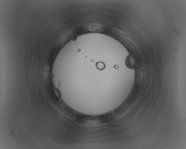 X0000116620263200912241758