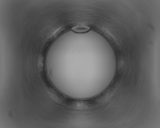 X0000116620264200912241758