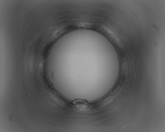 X0000116620265200912241759