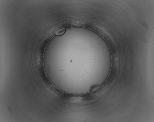 X0000116620266200912241759