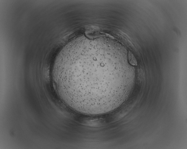 X0000116620267200912241759