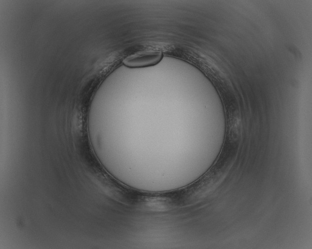 X0000116620268200912241759