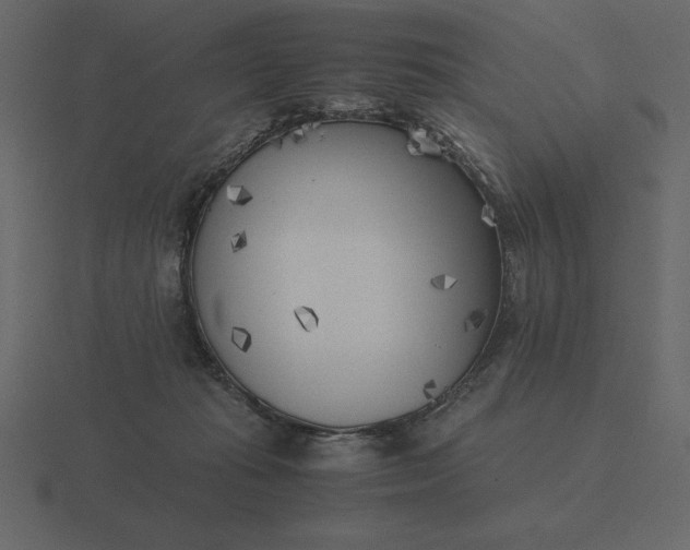 X0000116620269200912241759