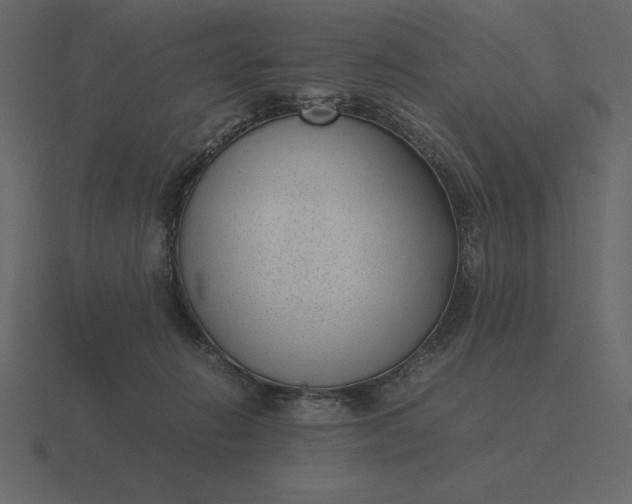 X0000116620270200912241759