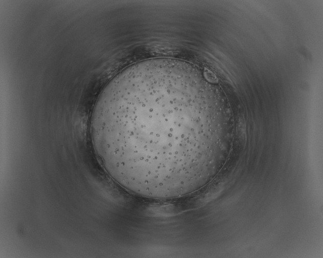 X0000116620271200912241759