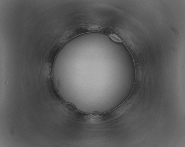 X0000116620273200912241759