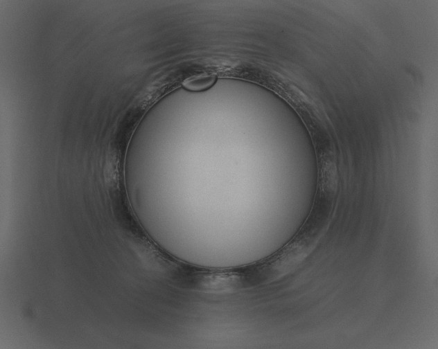 X0000116620274200912241759