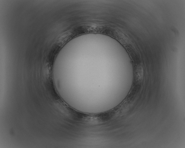 X0000116620276200912241759