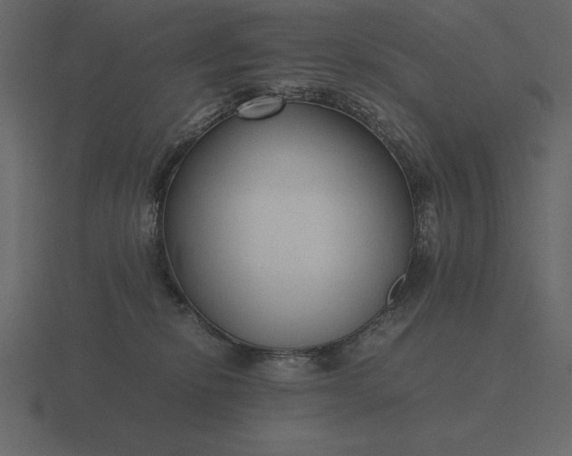 X0000116620278200912241759