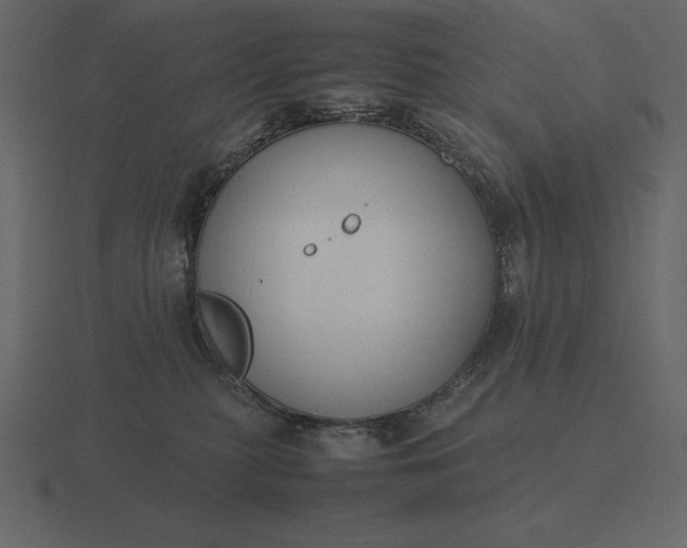 X0000116620279200912241759