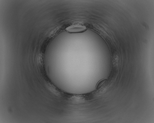 X0000116620280200912241759