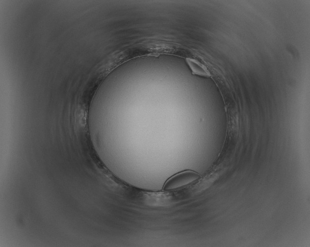 X0000116620281200912241759