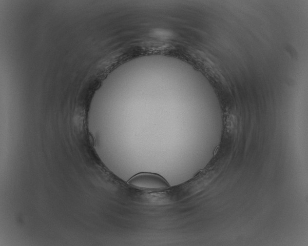 X0000116620283200912241759