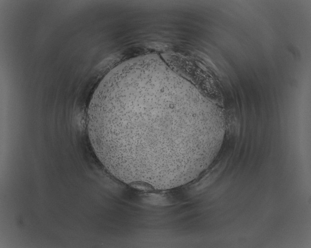 X0000116620285200912241759