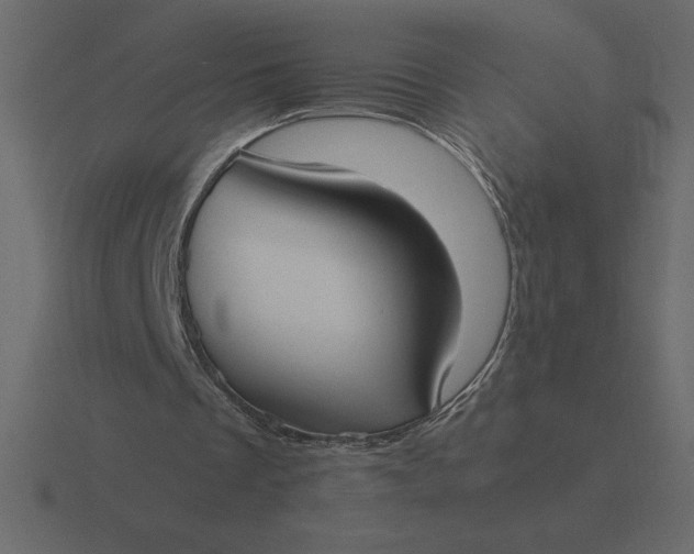 X0000116620289200912241758