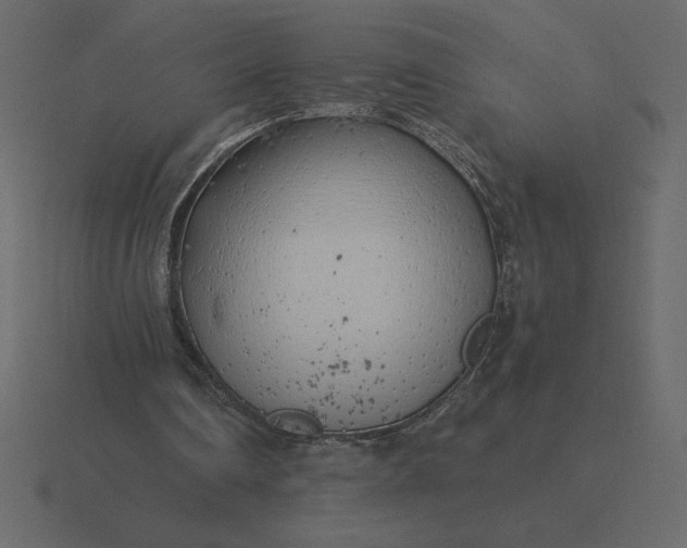 X0000116620290200912241758