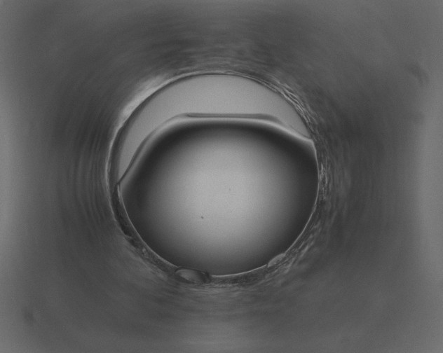 X0000116620292200912241758