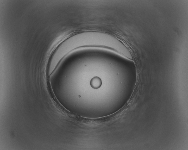 X0000116620293200912241758